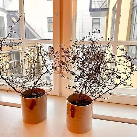 Boutique In Citycenter * Copenhague