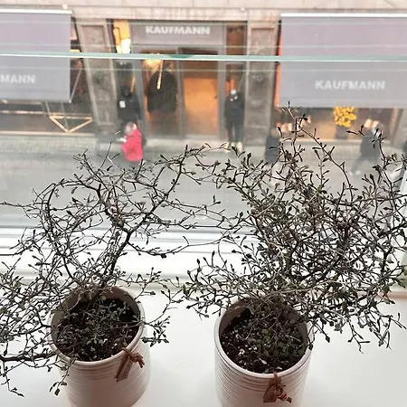Boutique In Citycenter Apartment Copenhagen