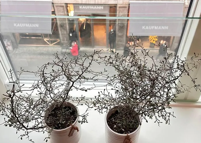 Boutique In Citycenter Lägenhet Köpenhamn