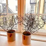 Boutique In Citycenter * Copenhagen