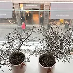 Boutique In Citycenter Apartment Copenhagen
